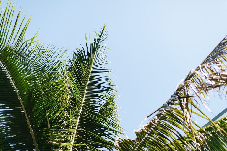 southfloridaweddingphotographer-15